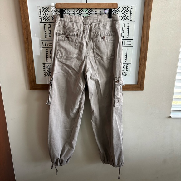 Anthro l Pilcro Cargo Parachute Pant - Picture 8 of 11